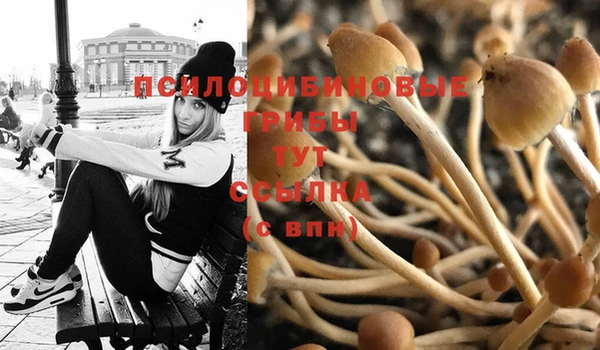 дурь Вязники