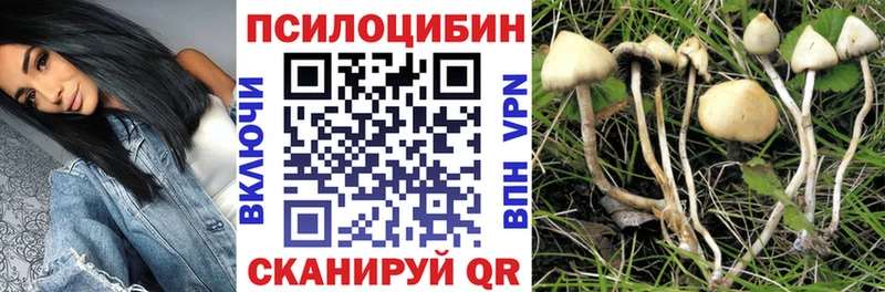 Галлюциногенные грибы прущие грибы  Калининград 